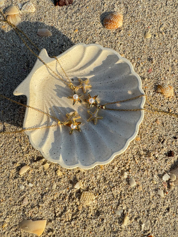 Estrella de mar con perla